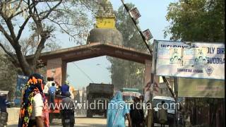 Where India ends and Nepal starts: Indo-Nepal border at Sonauli