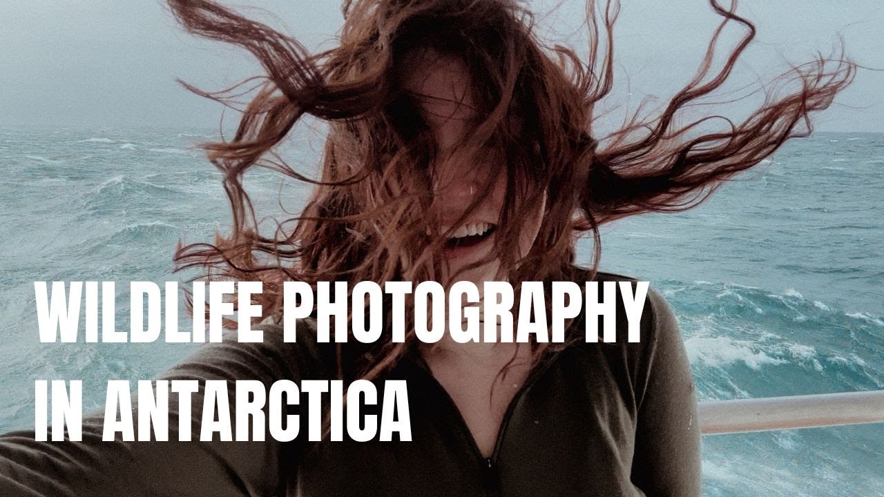 Фотографии дикой природы в Антарктиде 🇦🇶