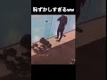秒で笑えるww#shorts