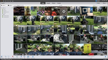 Photoshop Elements 2020 Tutorial Creating a New Catalog Adobe Training