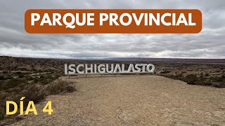 Parque Provincial Ischigualasto, Provincia de San Juan. Argentina.