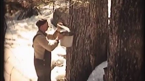 Maple Sugaring Hillsboro, NH   1941-42
