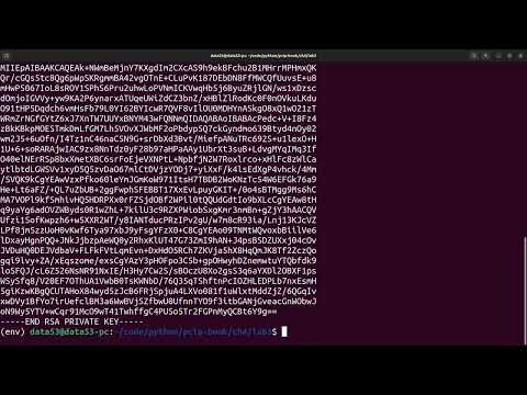 Exercise 4.1: Simple RSA Encryption