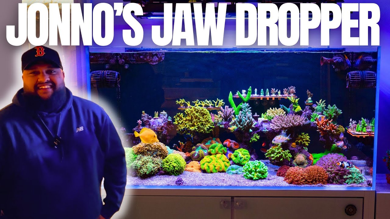Jonno's Jaw Dropper! Full Tour