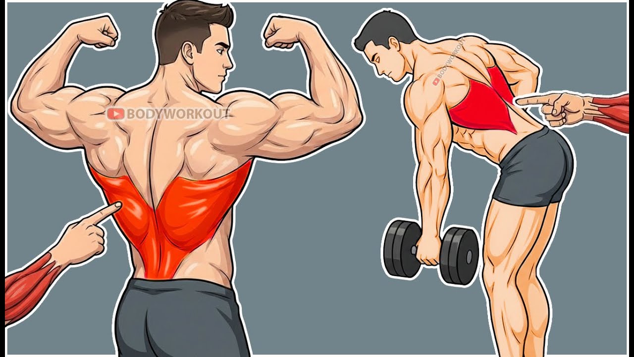 Best Lats Exercises That Actually Work 🔥