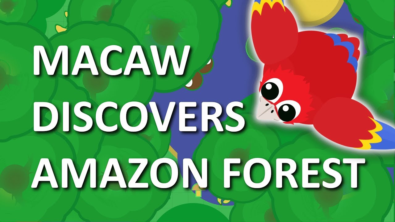 MOPE.IO // MACAW DISCOVERS *NEW* #AmazonRainForest IN MOPE WORLD //  #BigTree // TEASER #88 - YouTube