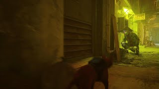 Stray (Clock Puzzle)