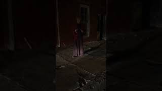 IMG 2627~video