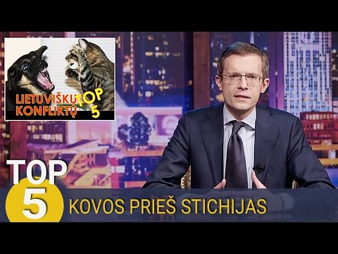 Video: 10 geriausių mažų šunų vaikams