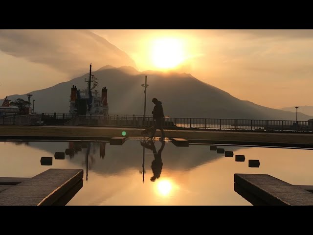 みんなで朝んぽ Morning walk with dog and cat