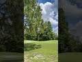 Course Vibes