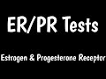 Erpr tests  estrogen receptor progesterone receptor tests  erpr tests for breast cancer 