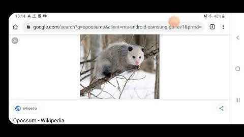 Class III General Knowledge 2 7 2020 by Ms Anchal Singh