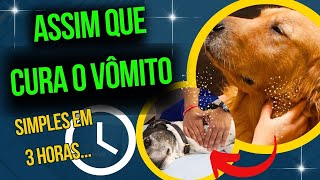 Causas Do Vomito Ou Regurgitação Nos Cães, Alimentação Inadequada Ou Outras Doenças