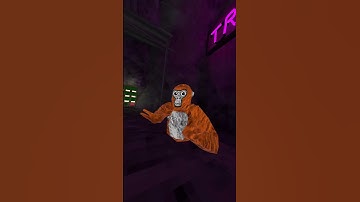 le poisson steve (gtag edition) #gorillatag #gtag