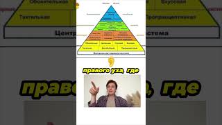 #воспитание #раннееразвитие #запускречи