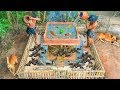 Building Mini Swimming Pool With Bamboo House For Ducks And Fish Pool