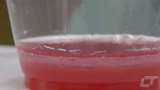 LTC College for Kids: Extracting DNA from a Strawberry