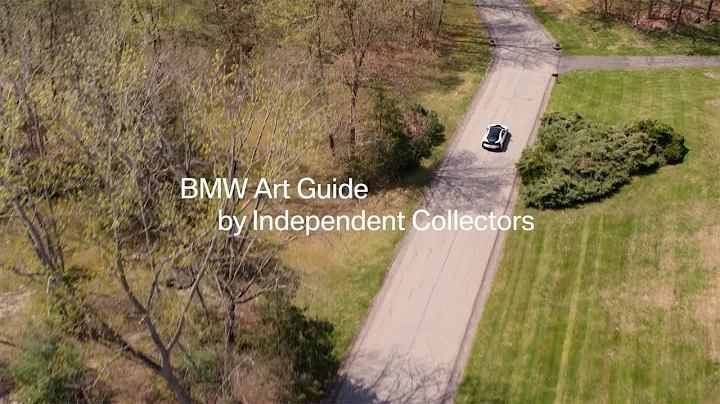 BMW Art Guide - The Mallin Collection & Buckhorn S...