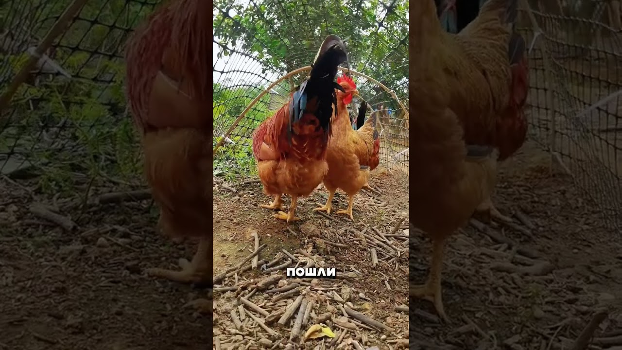 ЖЕСТЬ.. МИЛЛИОНЕР ОТДАЛ 2 МИЛЛИАРДА НА МЕЧЕТЬ 🤯