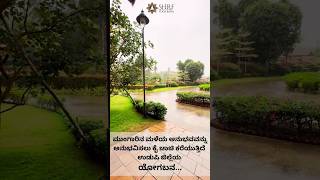 Shrf Yoga Bana The Path To Inner Strength Balance