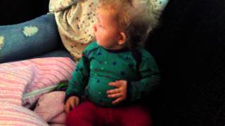 IMG 0806 IMG 0806