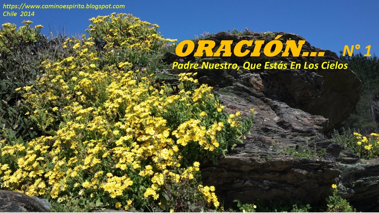 1 - ORACIÓN DOMINICAL