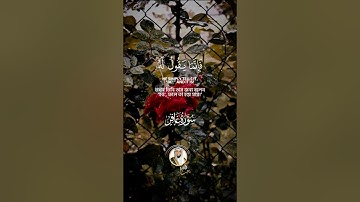 "هو الذي يحيى ويميت" سورة غافر SURAH GHAFIR #عبدالولي_الاركاني #abdulwali_alarkani