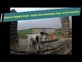 Bison & Prairie Dogs & a Jack Russell Terrier - Wind Cave National Park - South Dakota Fun!