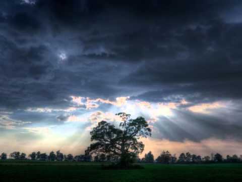 Masif DJ's — Masif Dj's - Insane (Steve Hill vs. Cally & Juice Mix)