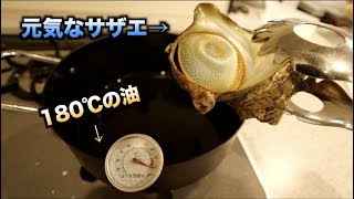 大事故！！元気なサザエの中に高温の油を流し込んだ結果・・・