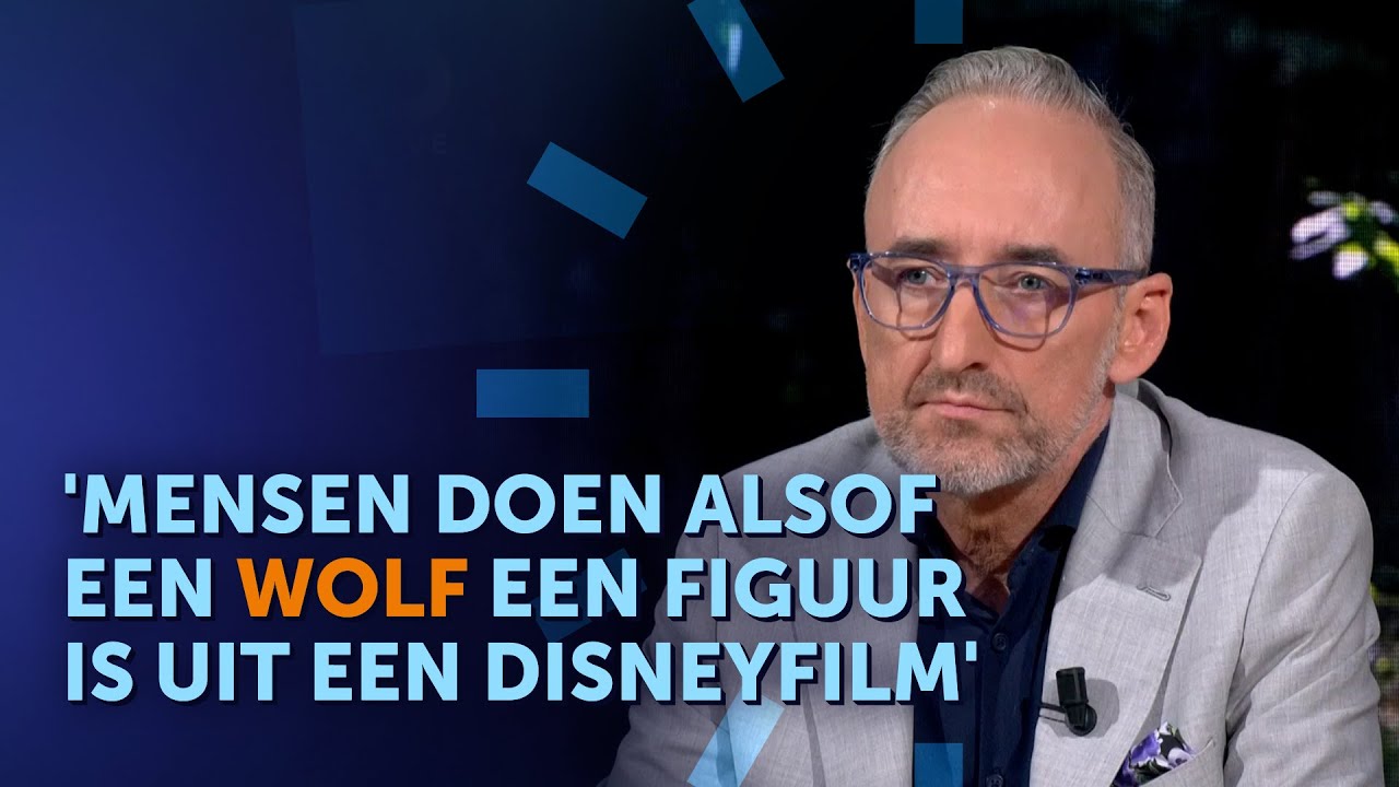 BBB'er Henk Vermeer na WOLVENAANVAL: 'Dit is gewoon VERSCHRIKKELIJK!' #NieuwsvandeDag