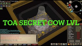 OSRS TOA Secret Cow Level of Lore