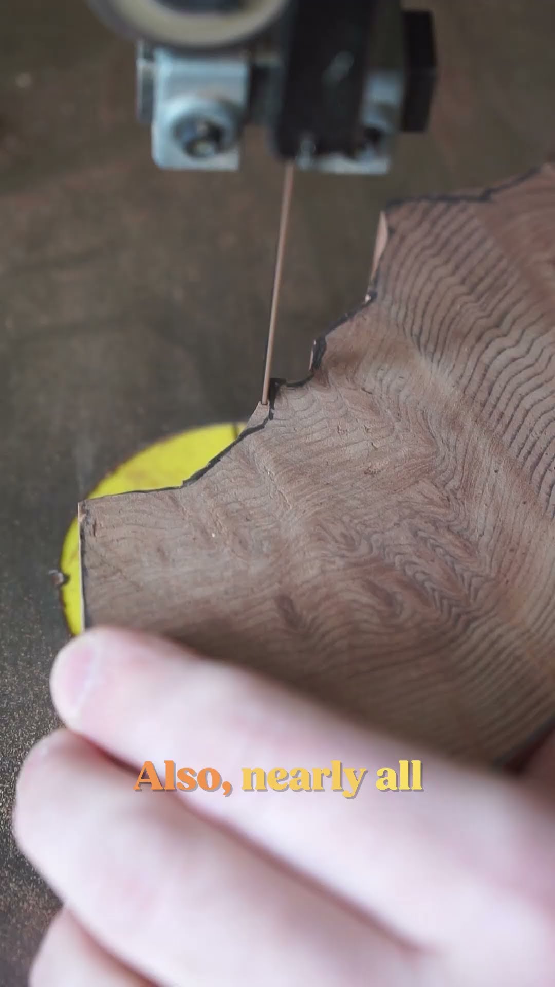 Making California out of Coast Redwood | Official State Tree Map #shorts #trees #wood