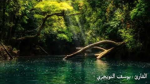 القارئ : يوسف التويجري .. آخر سورة النمل