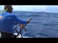 Italian fishing tv  lineaeffe  big game tuna fishing day 2