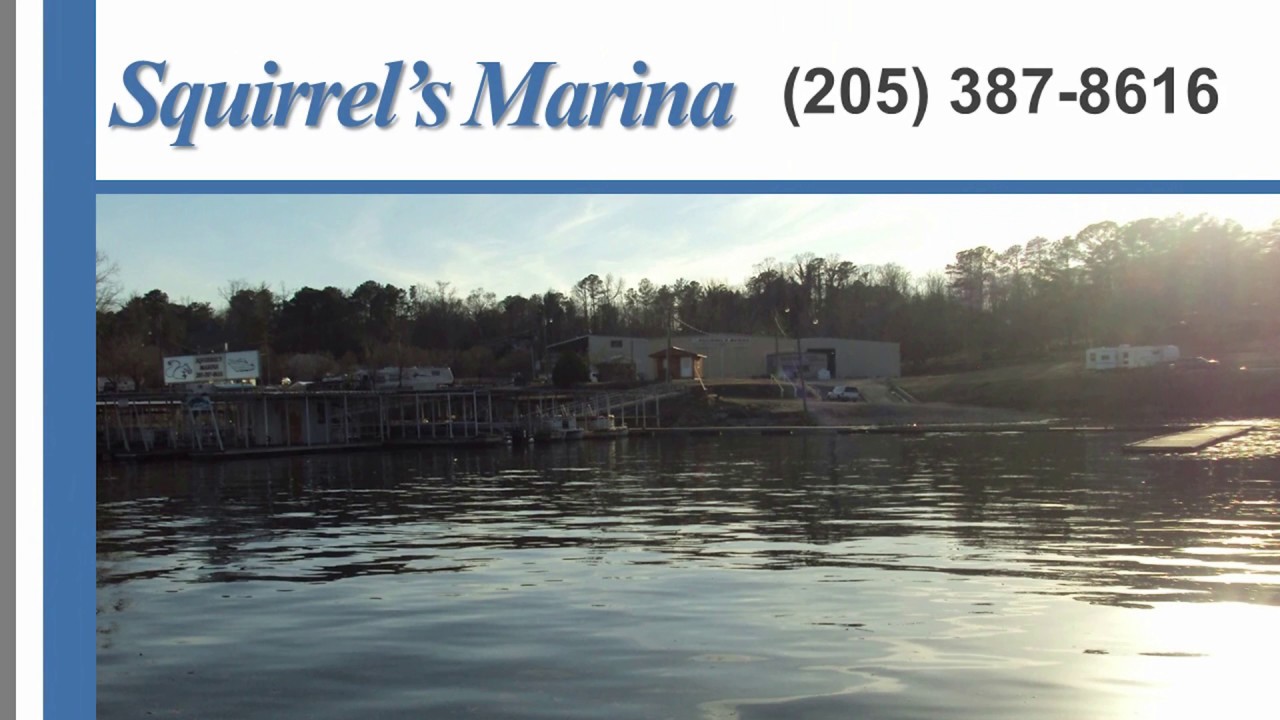 Squirrels Marina Jasper AL Marinas YouTube