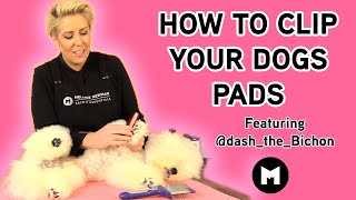 How to clip your dogs pads