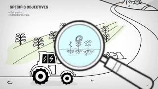 LIFE  Crops for better soil - Infographic video English