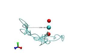 Celebrity Doped Helium Cluster using Path Integral Molecular Dynamics Net Worth