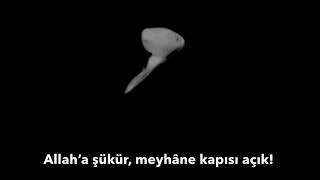 Ha Leylî Mahsa Vahdat