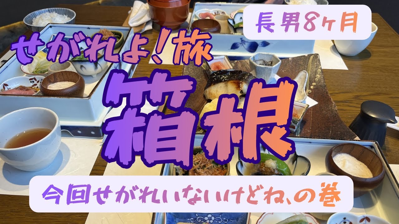 【0歳育児】せがれよ！これが箱根だ！雪がすごくて、心の中にいつもあのホワイトロードだな！