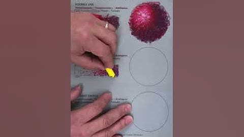 Oil Pastel and Color Scheme exercise PT09