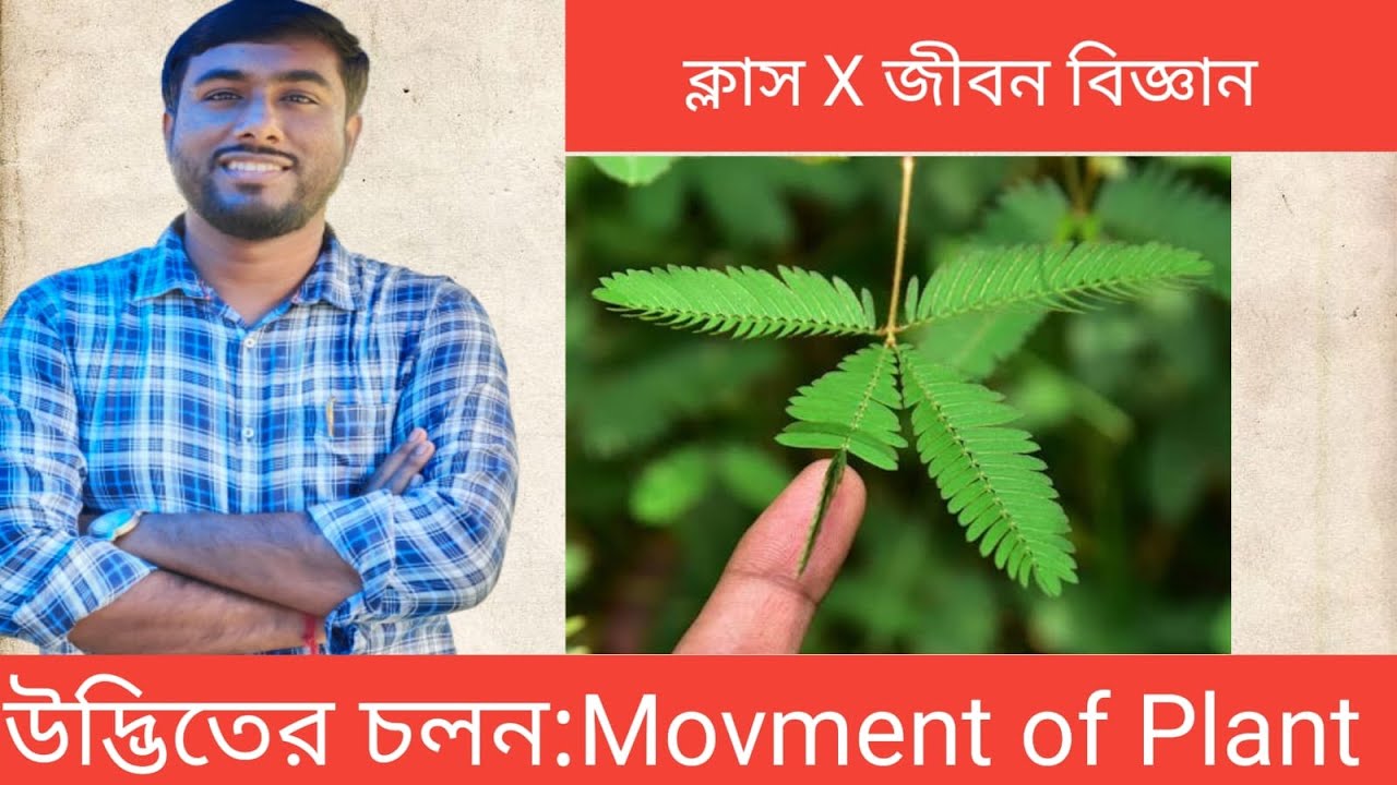 Class-10//Biology//উদ্ভিতের চলন@Sukanta Sir