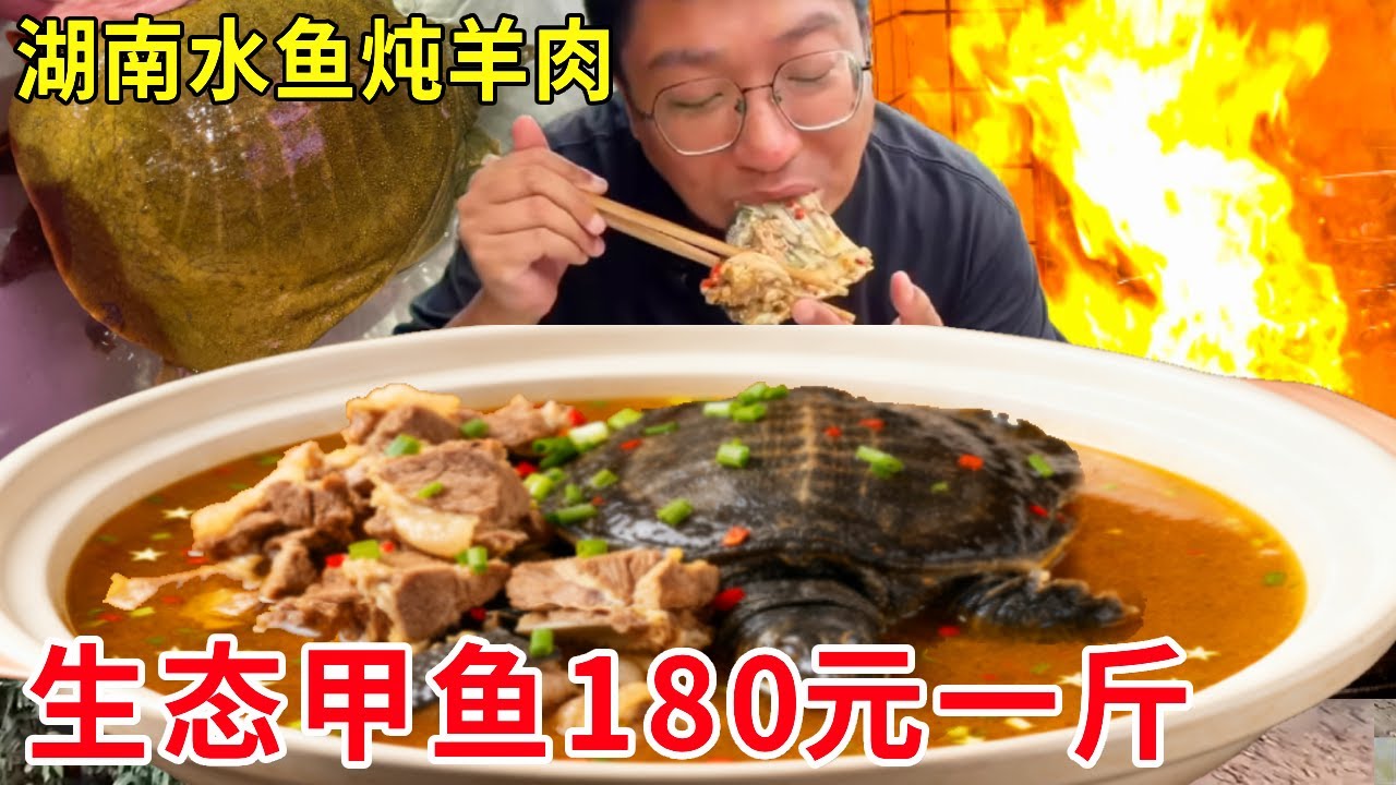 湖南湘潭水鱼炖羊肉，生态甲鱼180元一斤，炖黑山羊肉太过瘾了 # 水鱼炖羊肉 # 湘潭美食 # 湖南美食