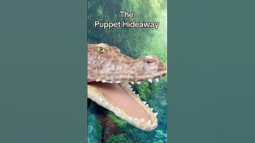 Puppet Safari part 4 - What is an Asian safari vacation? - The Puppet Hideaway with Eric Thomsen