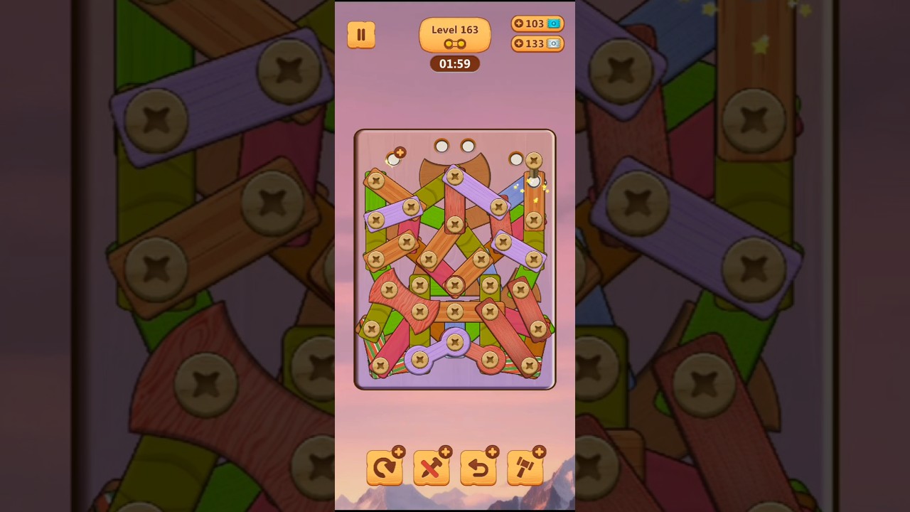 WOOD NUTS & BOLTS PUZZLE - Level163