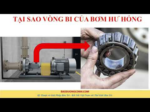 Video Tại sao vòng bi của bơm hư hỏng? - youtube