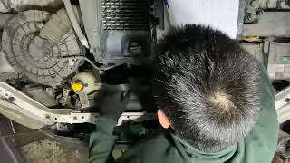 2010 Toyota Hilux Drive belt Replacement