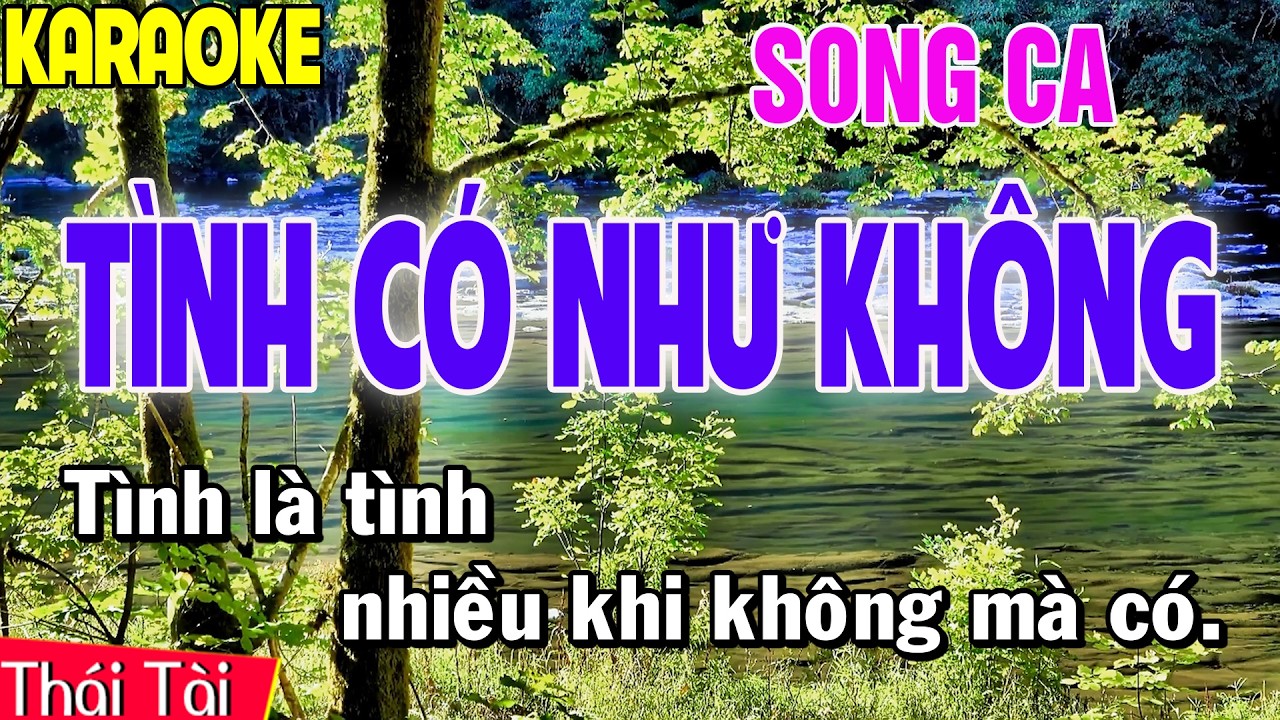 Tình Có Như Không Karaoke Song Ca | Thái Tài